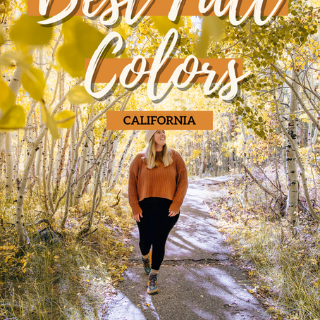 The Ultimate Fall Travel Guide to Mammoth Lakes, CA