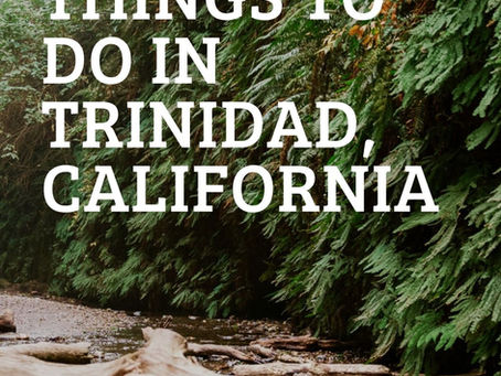 Things to Do in Trinidad, California