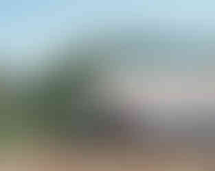 Glamping Tents at Bear Valley Resort