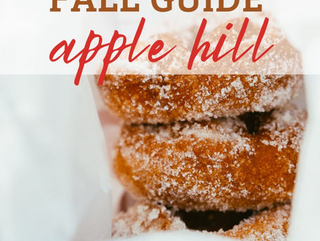16 Must Visit Stops in Apple Hill during Fall (Orchards, Wineries & More!)