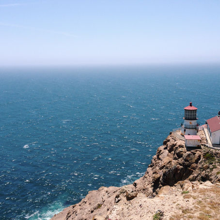 THE BAY AREA DAY TRIP YOU NEED TO TAKE