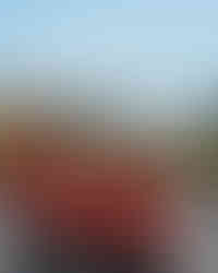 Pacific Star Winery in Mendocino California Coast