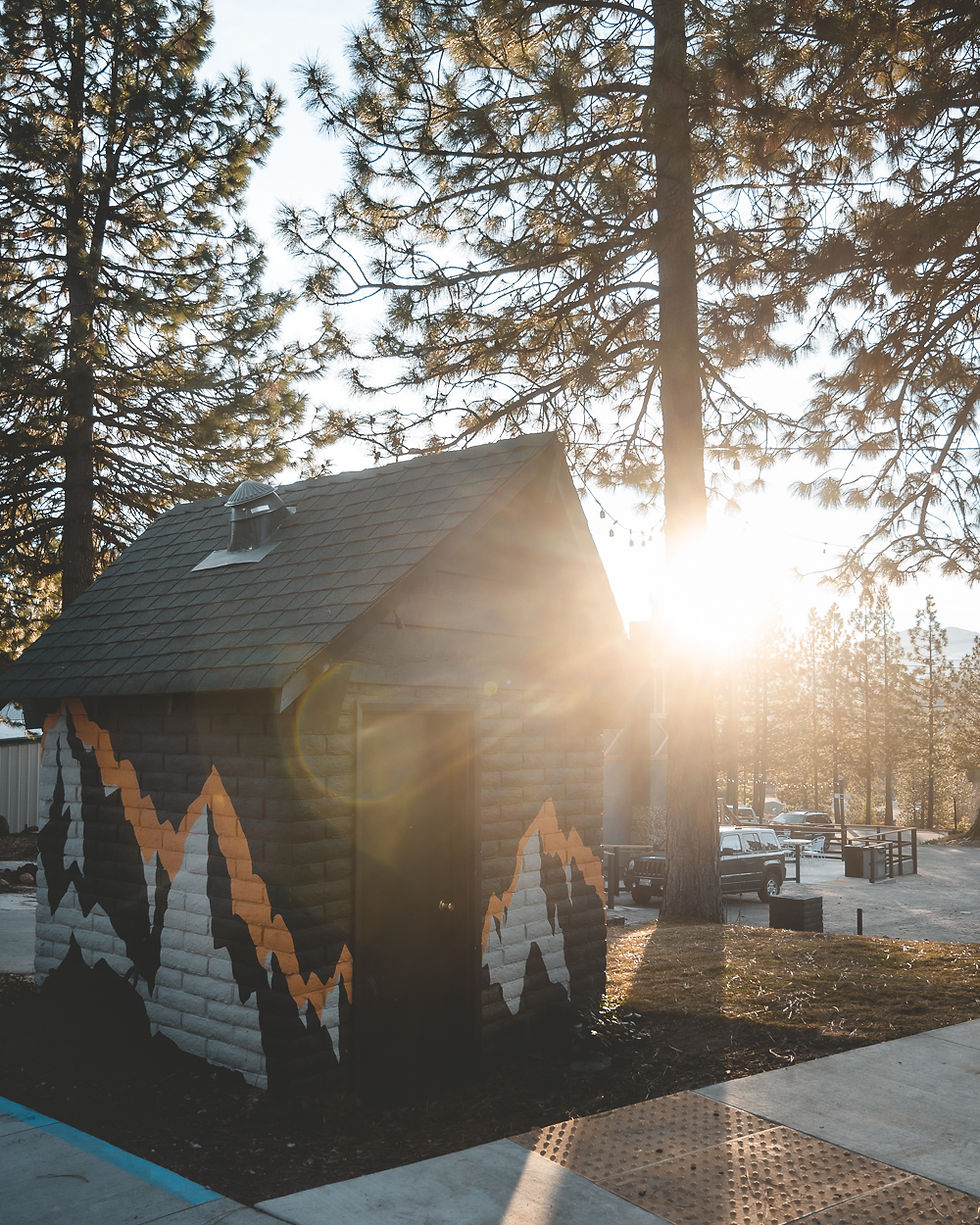 little cabin with pine trees