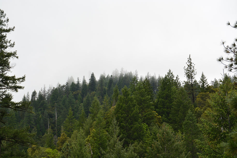 DSC_0132