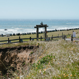 coastal winery in Mendocino, california