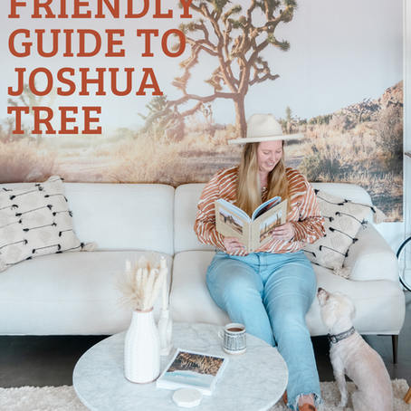 The Ultimate Dog Friendly Travel Guide to Joshua Tree