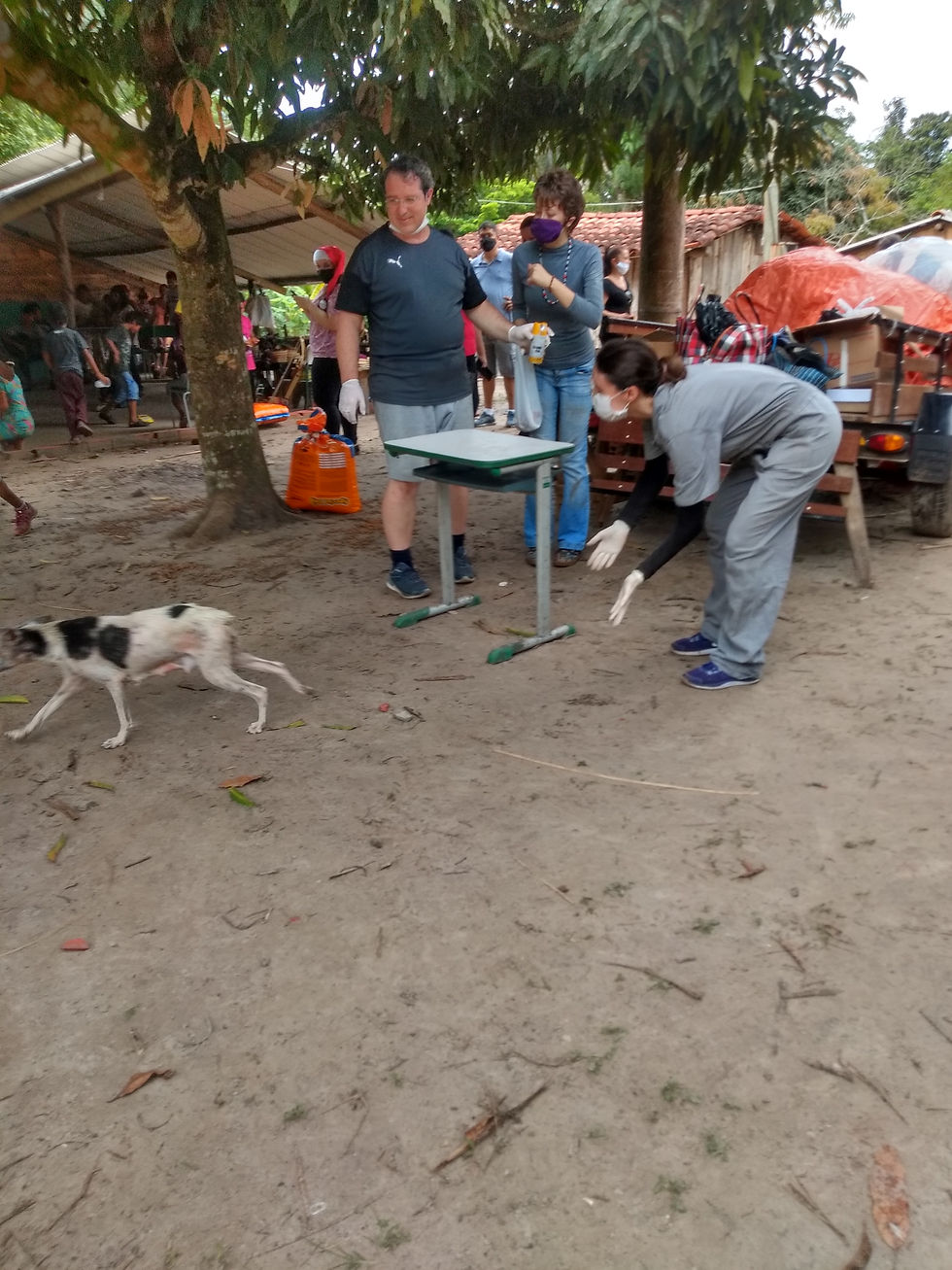 IMG_20201217_154118286_HDR