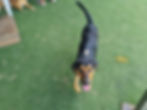 IMG-20230225-WA0082