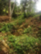 IMG-20230115-WA0025