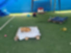 IMG-20230225-WA0080