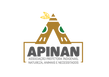 Logo AwAApinan 1 sem fundo.png