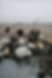 2D843C10-019C-46FE-8778-E51041088FE0.jpeg