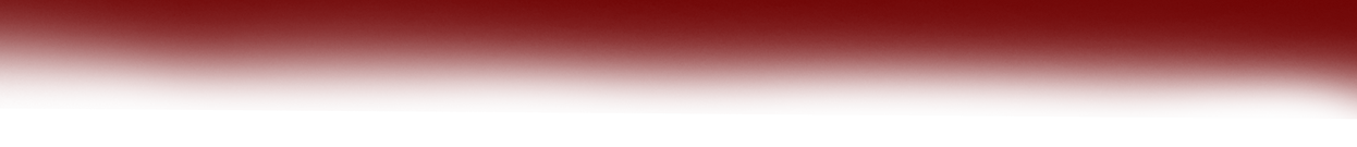Banner-Guinda.png