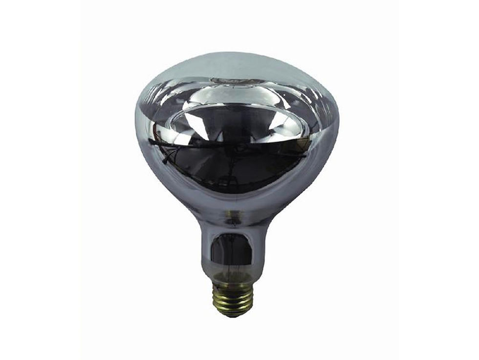 Miniatura: Foco infrarrojo claro SAGLite S00016 R40 250 W 130 V E26