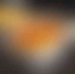 Best Lobster Roll Dubai Near Me