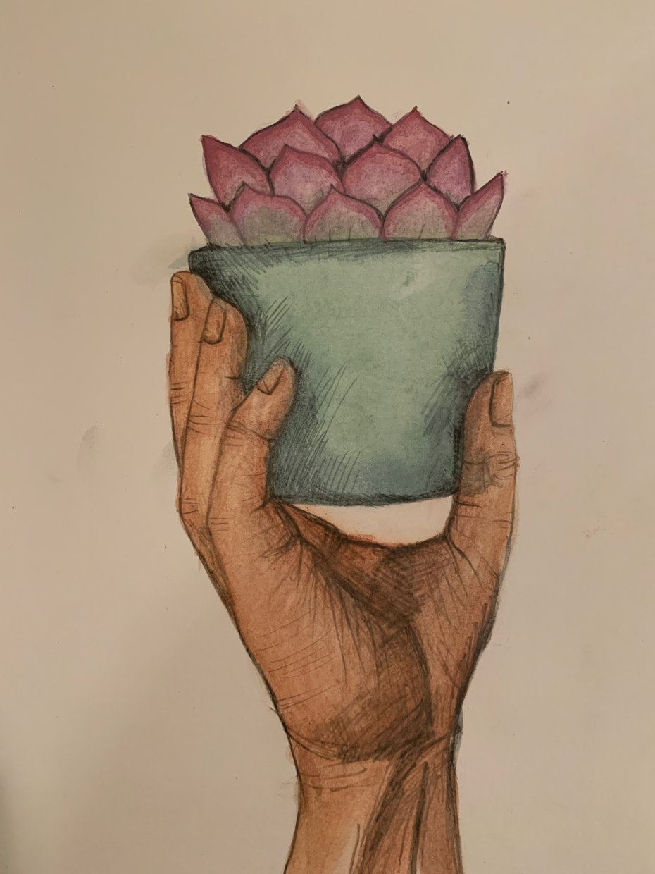 Succulent, 2020