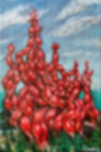 Muscle Castle, Analog Imagination 3