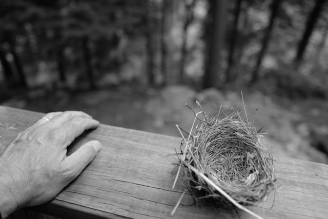 Empty Nest, 2020
