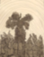 From the series: Solamen Orbis Terrarum. Linae #3