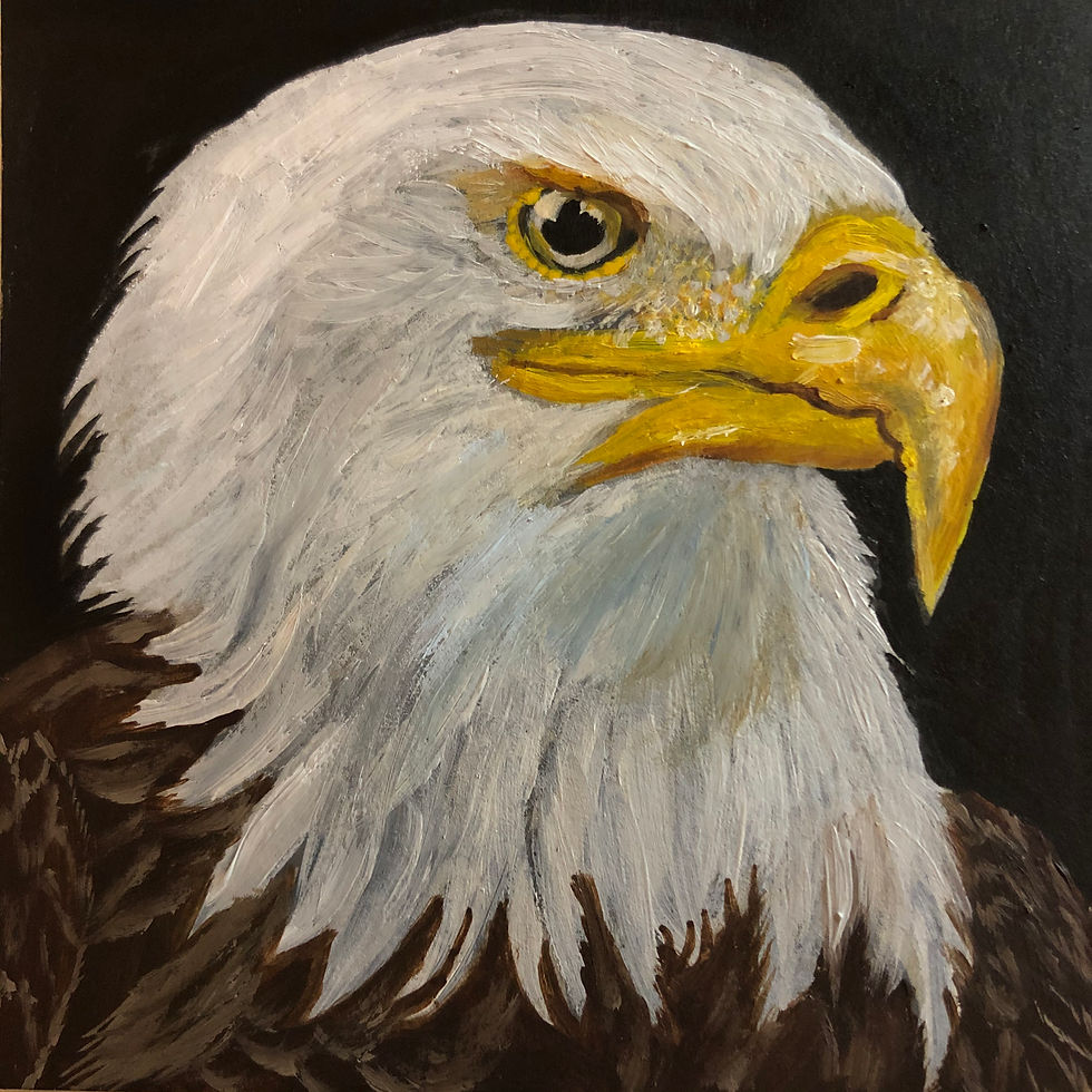 Bold Eagle