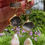 Thumbnail: Green Labradorite Drusy Pearl Gold Flower Long Statement Earrings Post