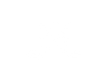 VDV icon