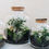 Miniature : Olifants