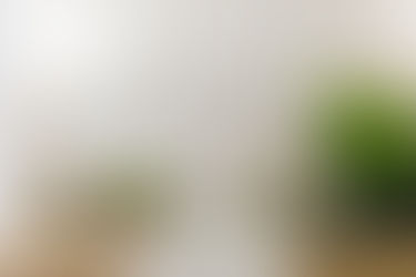 Participez à l'atelier "Maison écologique" avec The Greener Good.