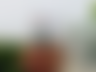 Atelier Terrarium 2026