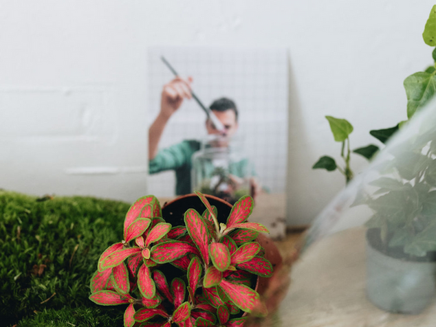 Atelier Terrarium 2026