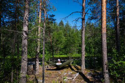 Arctic Woods Huskies by Jussi and Inka Holck. Long distance mushers from Rovaniemi, Finland.