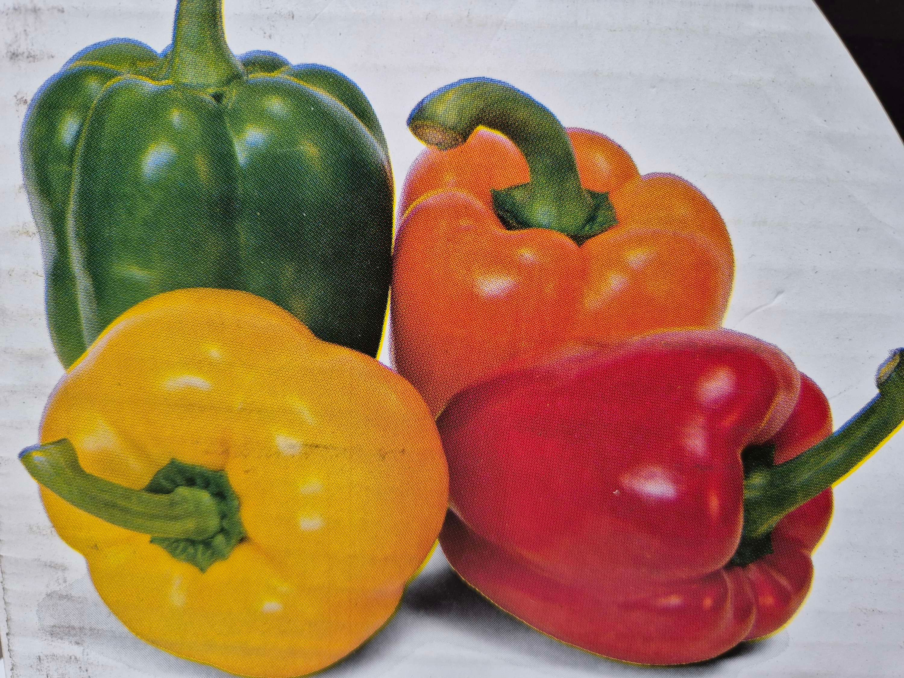 Mixed Peppers