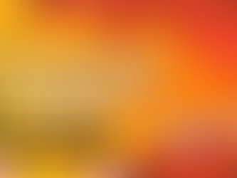 Fly.monyチームが日本でのアンバサダーを募集