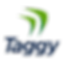 logo taggy