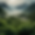 18o0965534560_The_mountainous_highlands_grow_beautiful_Vietname_ab97d34f-7d06-4864-a02f-0d