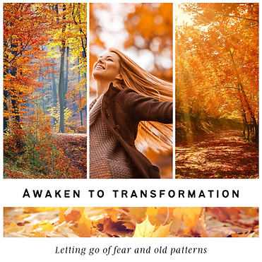 Awaken to Transformation  
