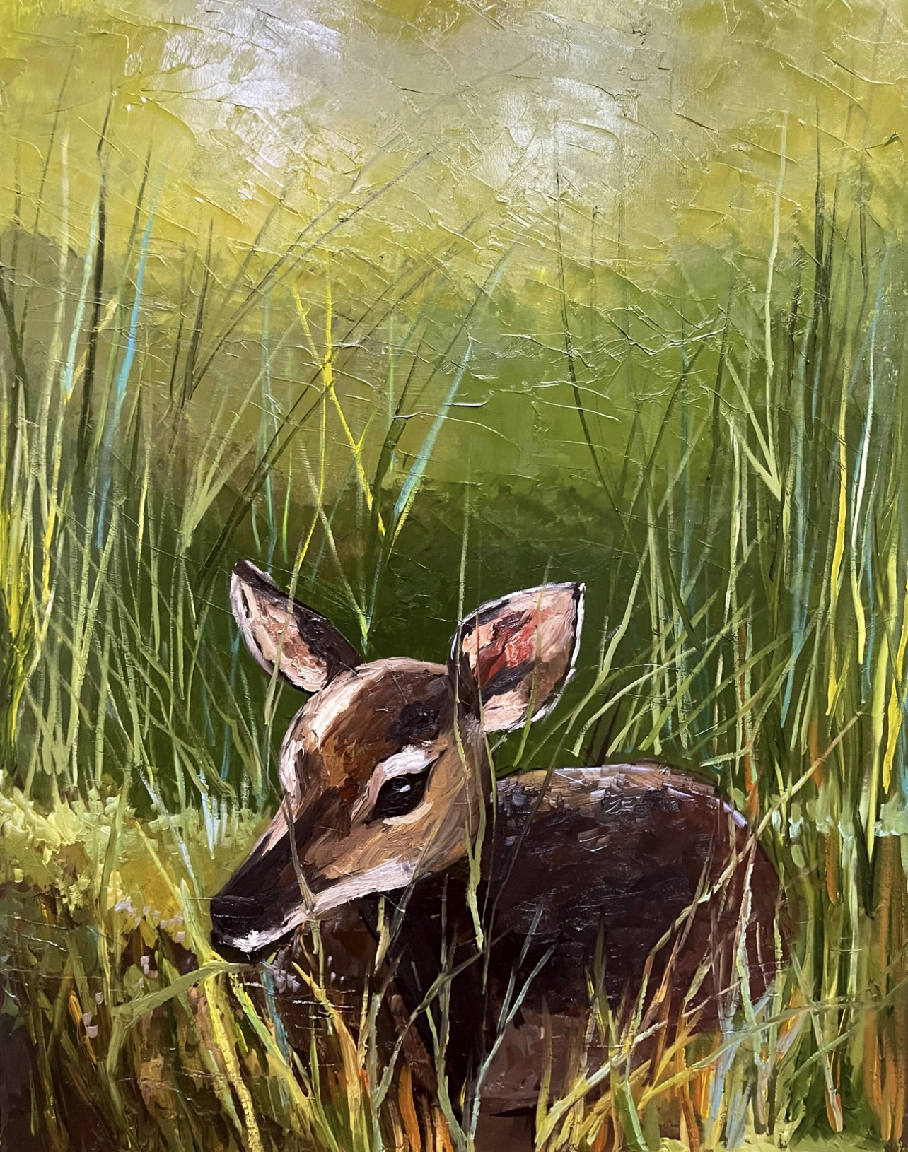 Revelation of a Baby