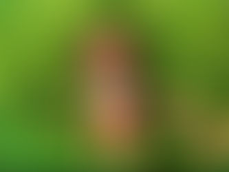 CoComelon introduces "Nina's Familia", bringing an authentic Mexican-American experience to kids entertainment