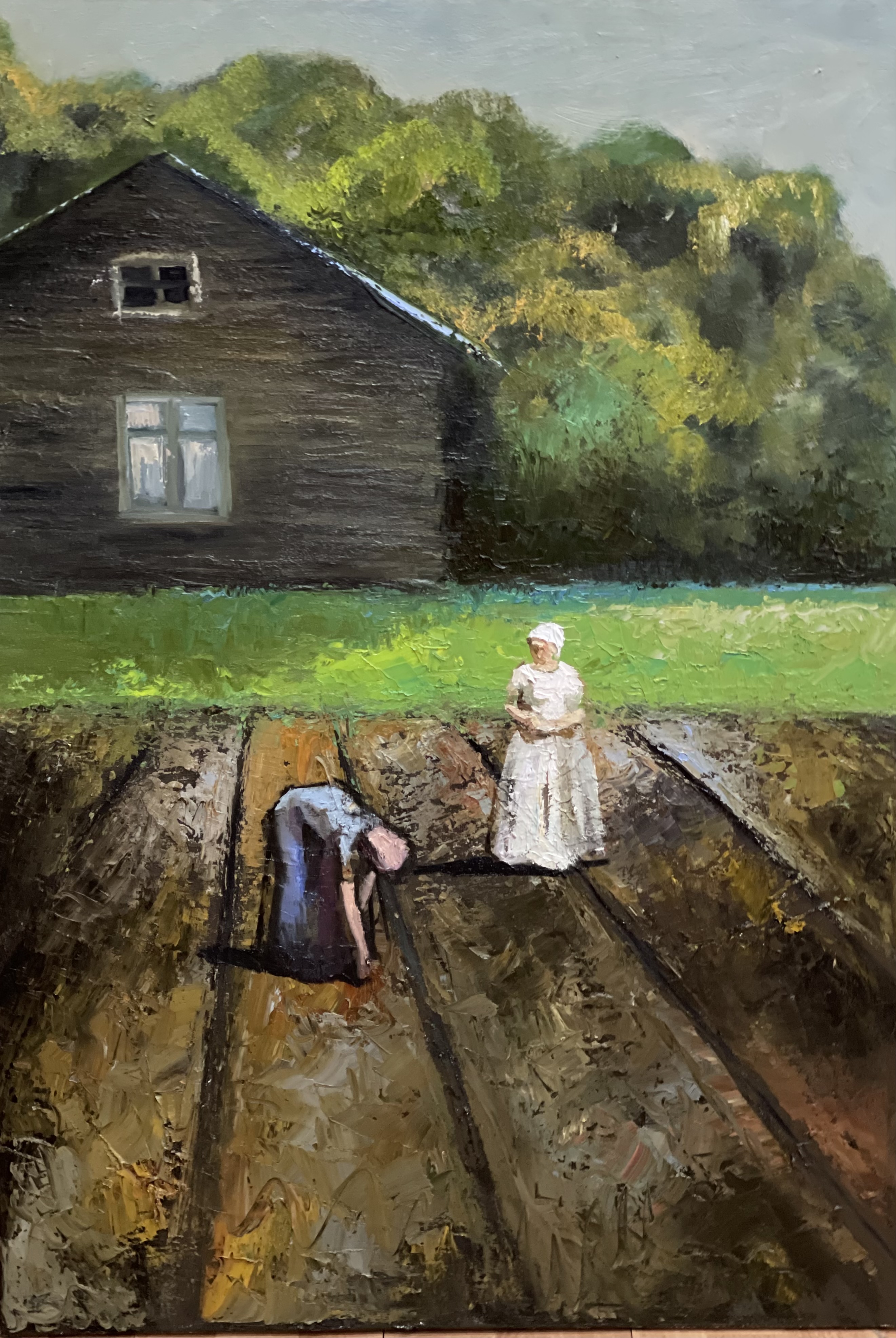 Rural Homestead