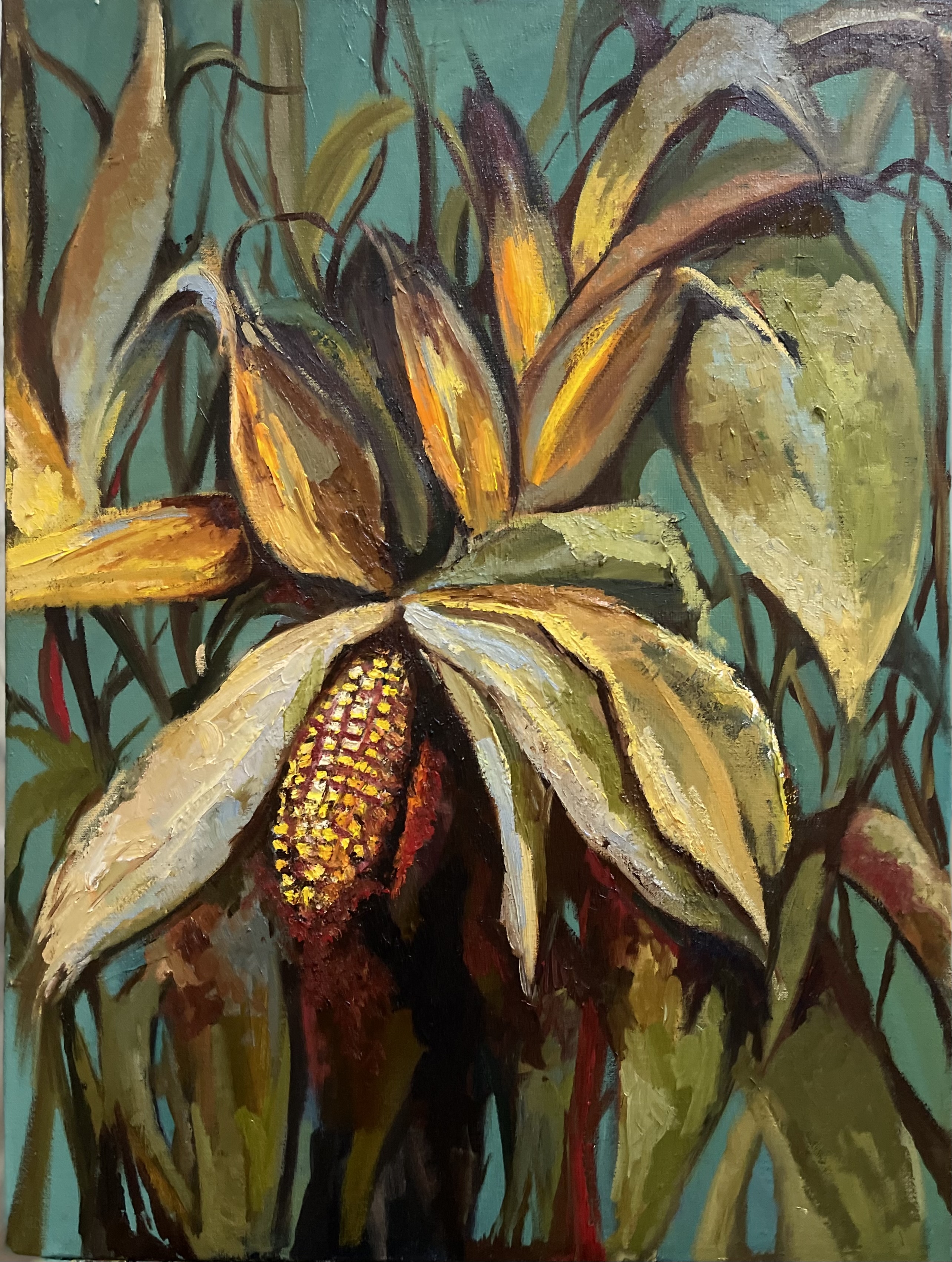 Gold of the Fields