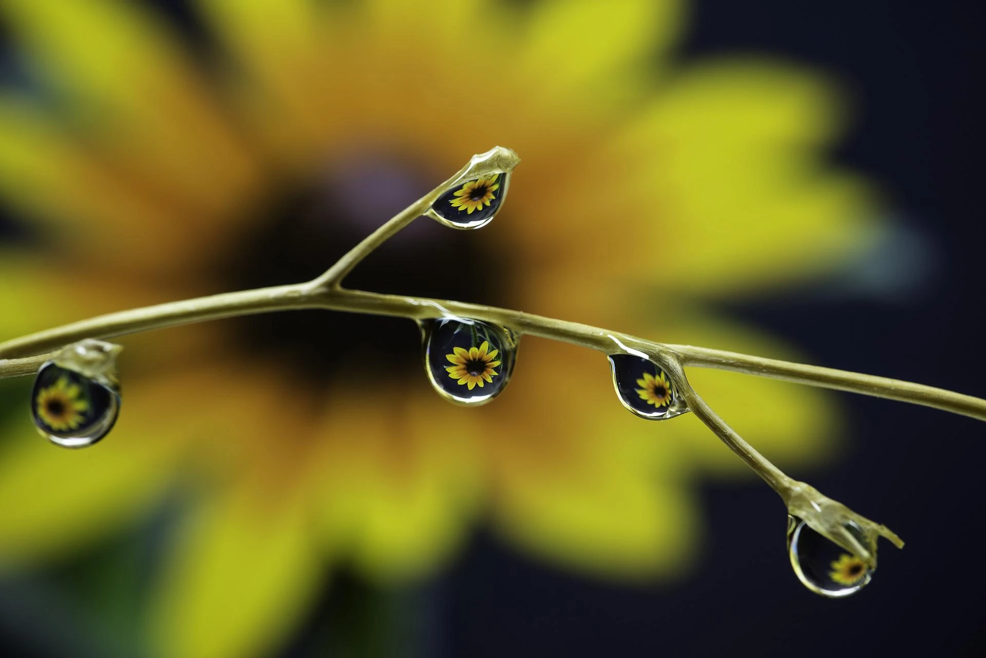 12 Natural Laws of the Universe