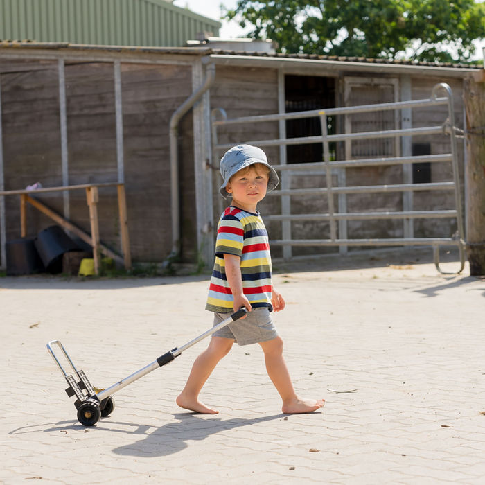 Kleiner Junge zieht einen Wagen auf dem Ferienbauernhof Mau