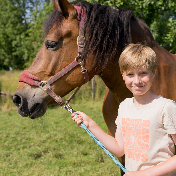 Junge hält Pferd an der Leine, lächelt in die Kamera, im Grünen.