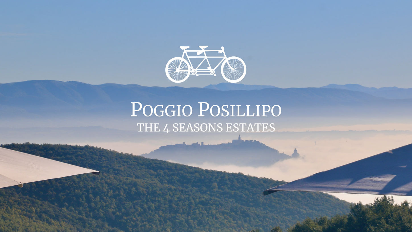 POGGIO POSILLIPO: EMBODING ELEGANCE THROUGH WEB DESIGN. Created by Olga Kovalchuk, okkreatyv.com