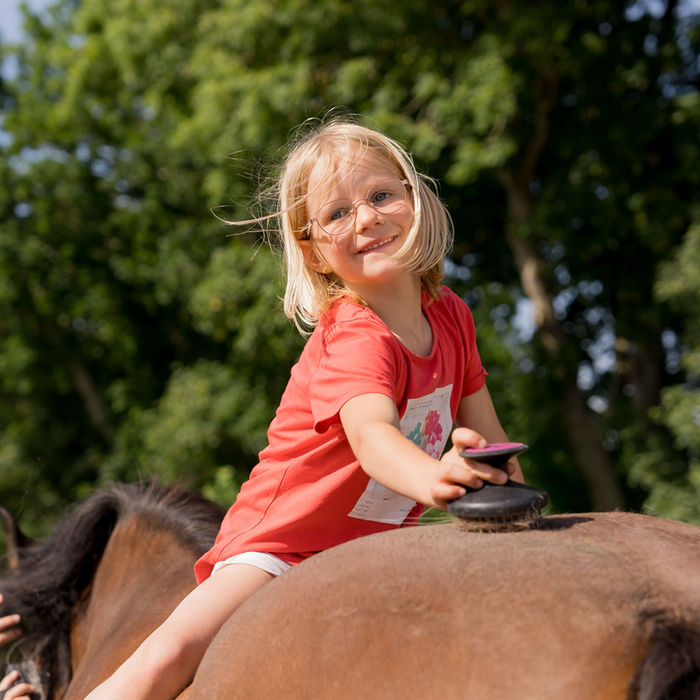 Fröhliches junges Mädchen reitet auf einem braunen Pferd, im Freien. Ferienbauernhof Mau.