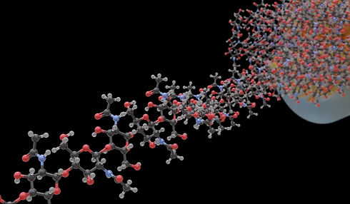 Biomaterials from Microbial Chitin