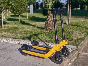 Should Scootering be a Private Affair?