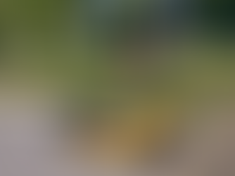 Should Scootering be a Private Affair?