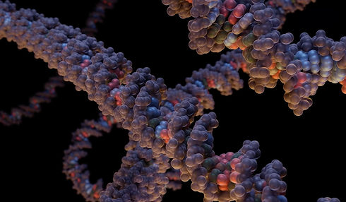 Predicting the future catalytic activity of enzymes