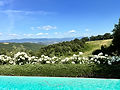 Infinity pool overlooking rolling Umbrian hills at Poggio Posillipo